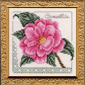 5" x 5" - Camellia