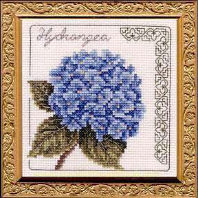 5" x 5" - Hydrangea