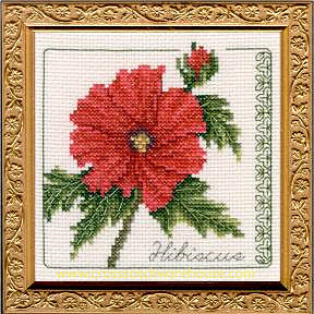 5" x 5" - Hibiscus