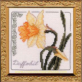 5" x 5" - Daffodil