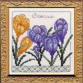 5" x 5" - Crocus