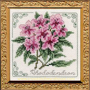 5" x 5" - Rhododendron