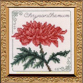 5" x 5" - Chrysanthemum