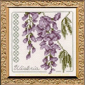 5" x 5" - Wisteria