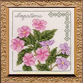 5" x 5" - Impatiens