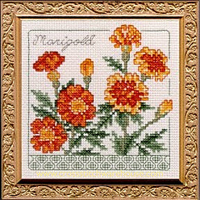 5" x 5" - Marigold