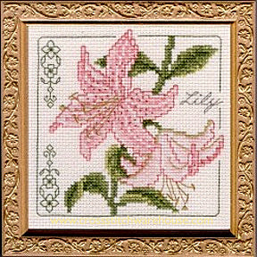 5" x 5" - Lily