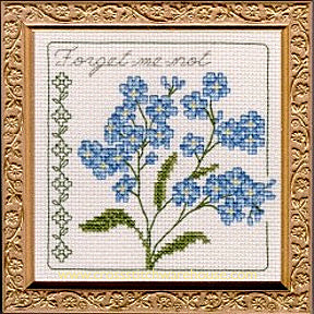 5" x 5" - Forget - Me - Not