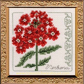 5" x 5" - Verbena