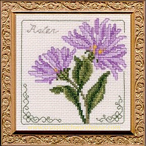 5" x 5" - Aster