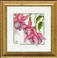 4" x 4" - Fuschia