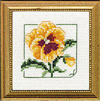 4" x 4" - Pansy