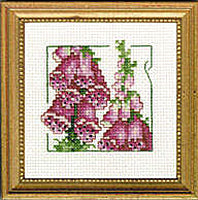 4" x 4" - Foxglove