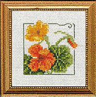 4" x 4" - Nasturtium