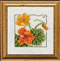 4" x 4" - Nasturtium