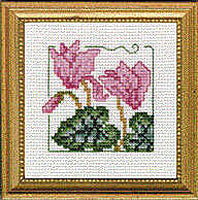 4" x 4" - Cyclamen