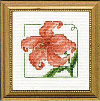 4" x 4" - Day Lily