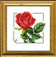 4" x 4" - Rose