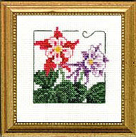 4" x 4" - Columbine