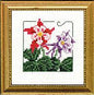 4" x 4" - Columbine