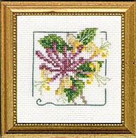 4" x 4" - Honeysuckle