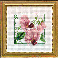 4" x 4" - Sweet Pea