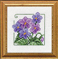 4" x 4" - Violet