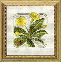 4" x 4" - Z - Primrose