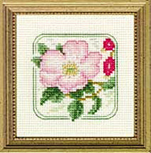 4" x 4" - Z- Dog Rose