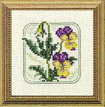 4" x 4" - Z - Wild Pansy