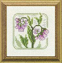 4" x 4" - Z - Comfrey