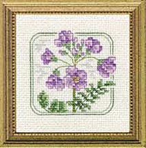 4" x 4" - Z - Bittercress