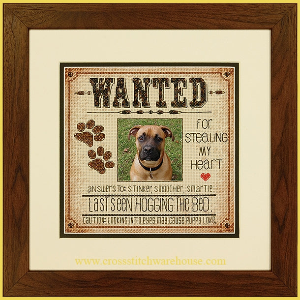 Dog Wanted