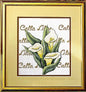 Calla Lilies