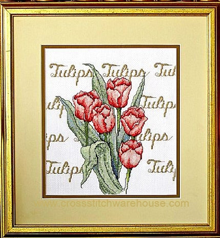 Tulip - CHART