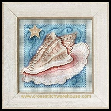 Conch Shell