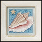 Conch Shell