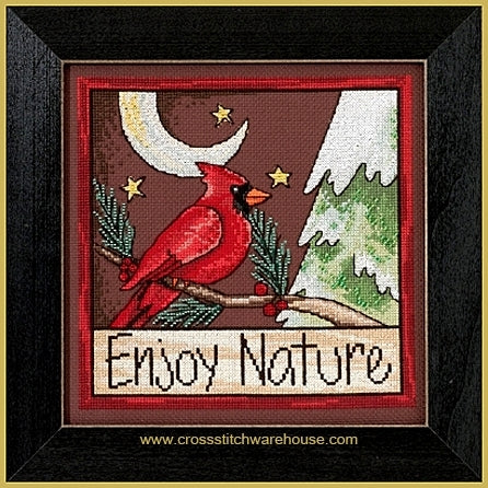 Enjoy Nature Kit & Frame