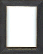 Blooming Tails AIDA FRAME ONLY