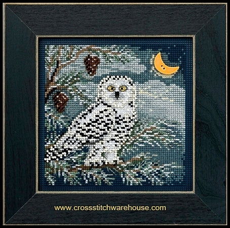 Snowy Owl Horn Kit & Frame