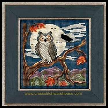 Night Owl Kit & Frame