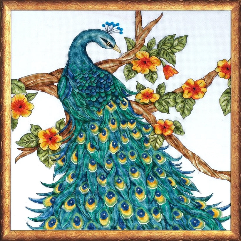 Peacock