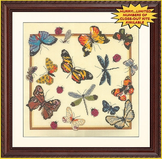 Butterfly Bug Collection