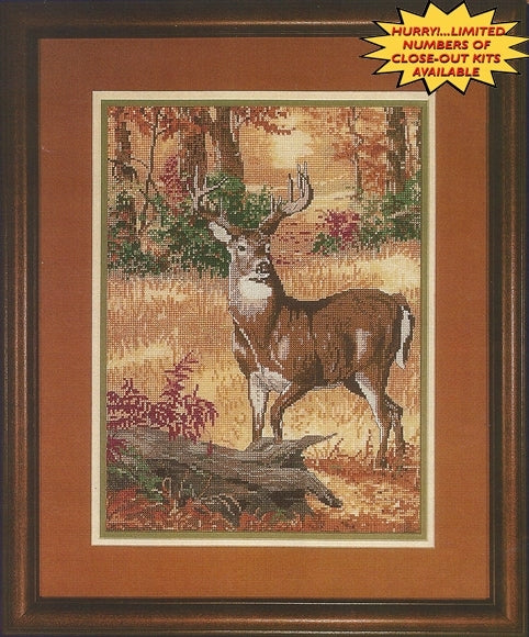 Forest Deer