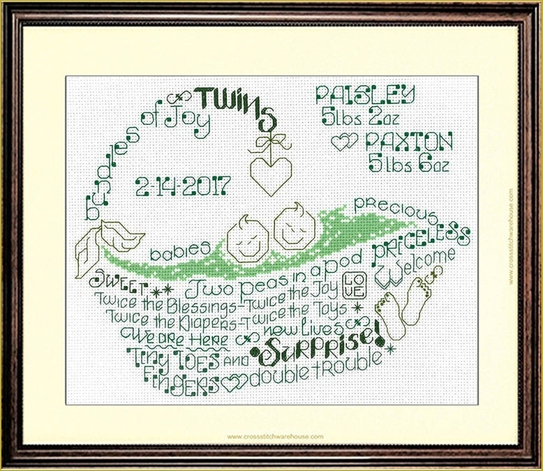 Let's Love Twins BIRTH RECORD - CHART ONLY