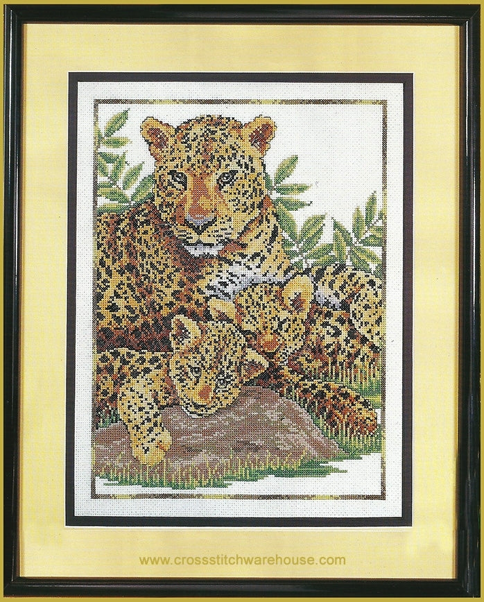 Leopard Family