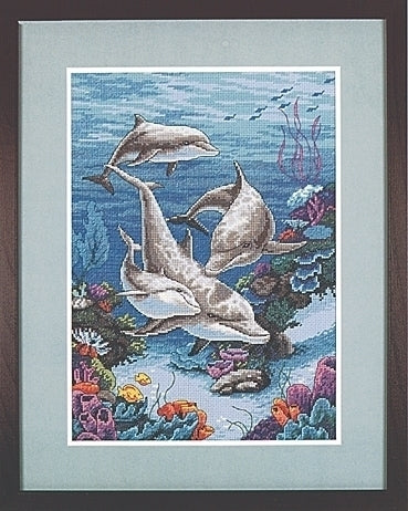 Charming Dolphins