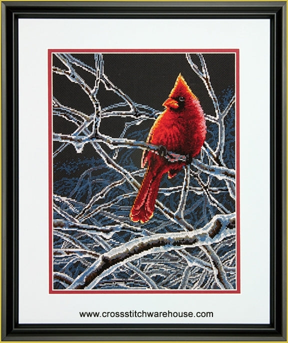 Ice Cardinal