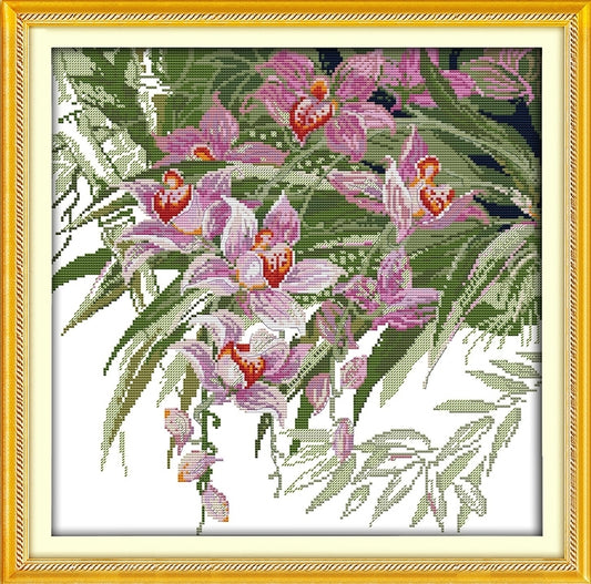 Orchid Cluster