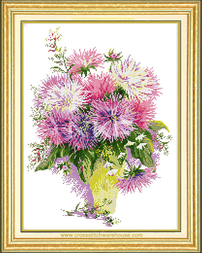 Asters In Still Life